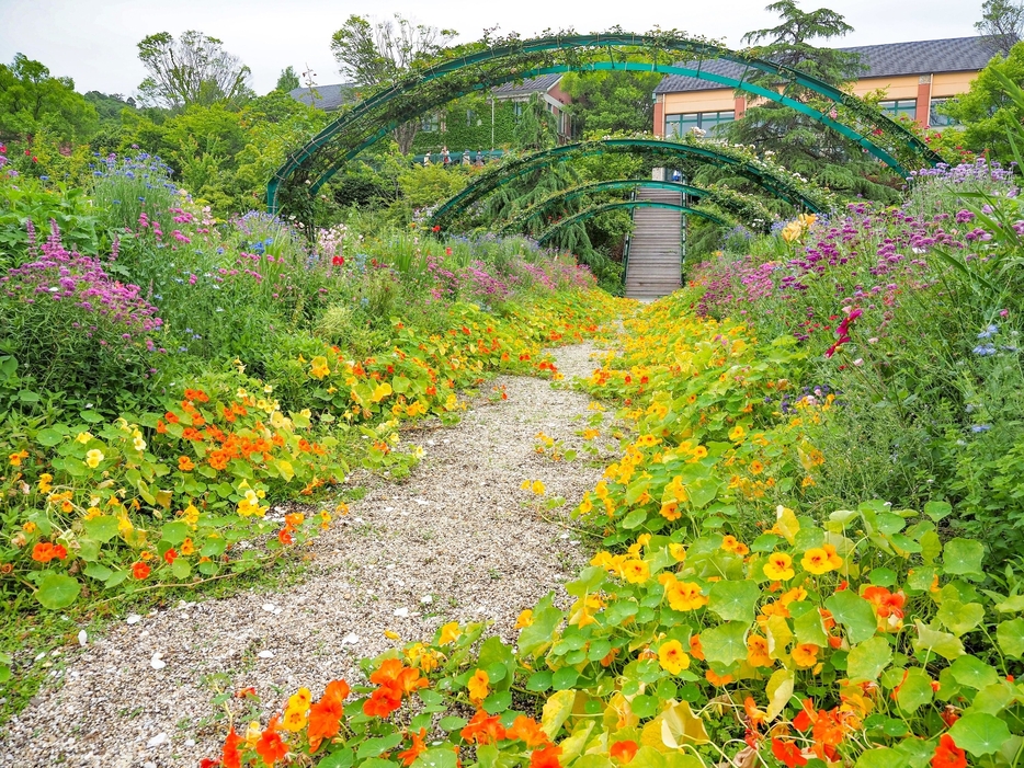 北川村「モネの庭」マルモッタン