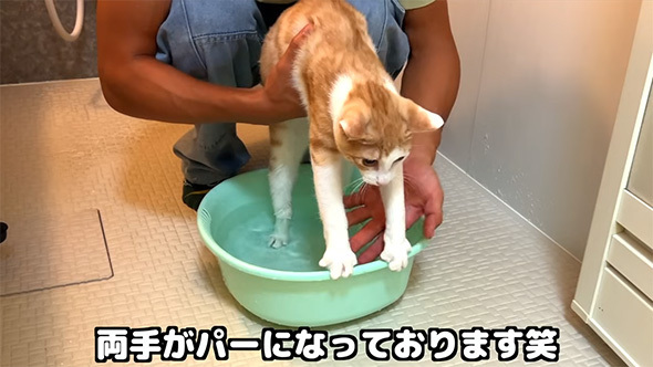 手足ピーン状態でしたが……