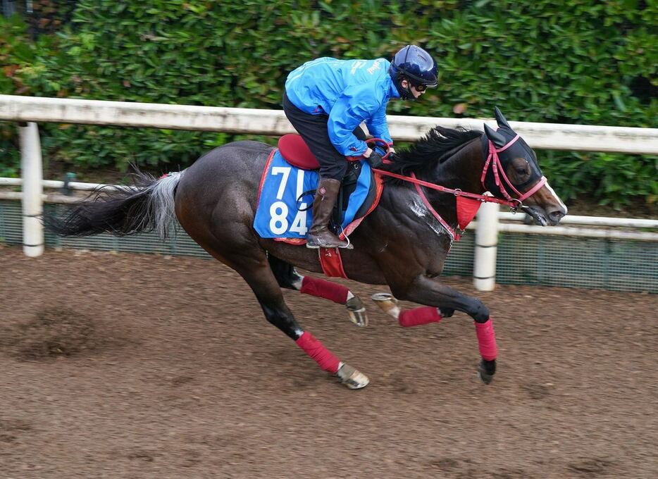 スズハロームは馬なりながら、迫力のある走りをみせた＝栗東トレセン（撮影・岩川晋也）