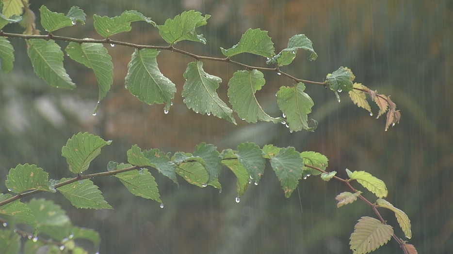 広い範囲で20ミリ以上の強い雨が降った三重県内（三重テレビ放送）