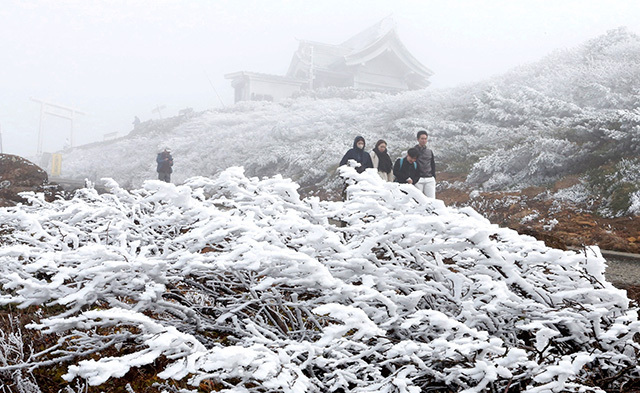 刈田嶺神社周辺の木々に霧氷がびっしり付いていた＝20日午後３時20分、宮城県七ケ宿町