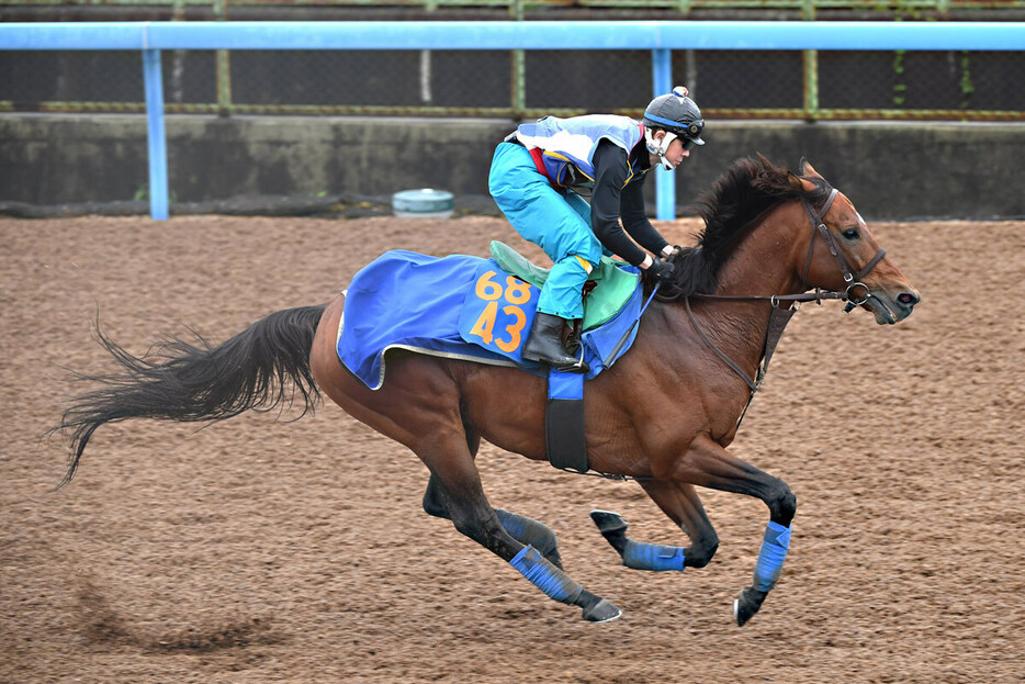 きっちり仕上がったクロミナンス