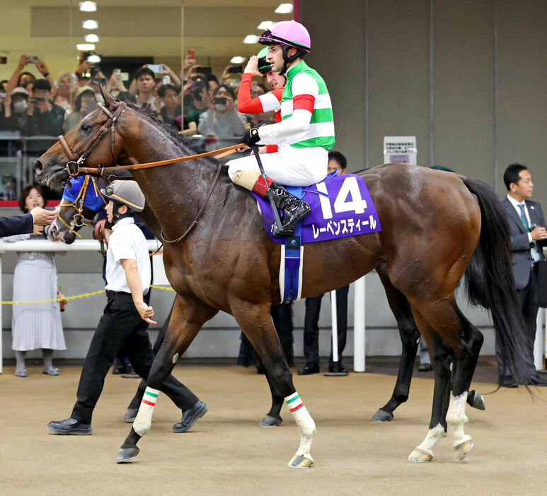 ８着のレーベンスティール（カメラ・池内　雅彦）