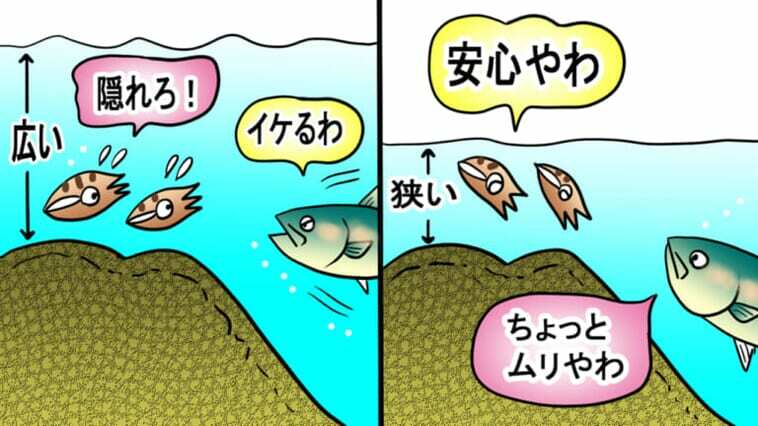 秋イカ釣りを学ぶ