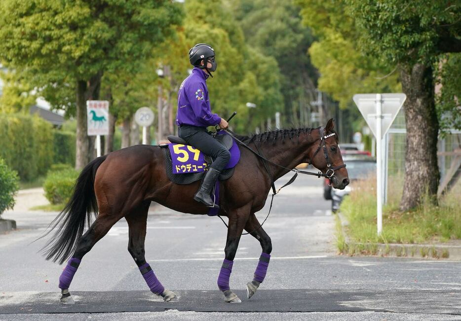 ドウデュース＝栗東トレセン（撮影・岩川晋也）