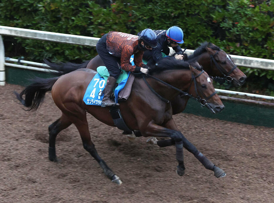 ノットゥルノ（右）と併せ馬で追い切る鮫島駿騎手騎乗のサンライズジパング（撮影・白石智彦）