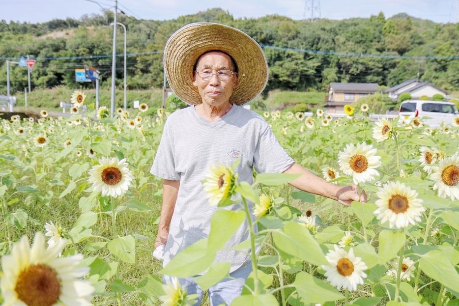 「白いヒマワリをぜひ見に来て」とアピールする大畑勇二さん＝宇佐市院内町斎藤