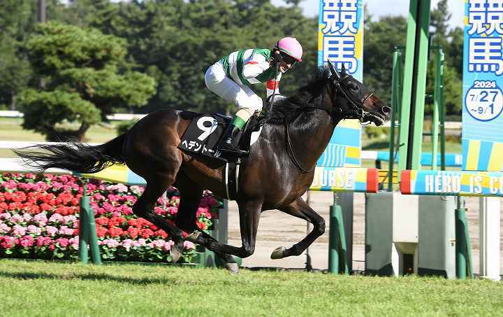 条件戦を強い競馬で2連勝。上がり馬のヘデントールに注目だ。写真提供：産経新聞社