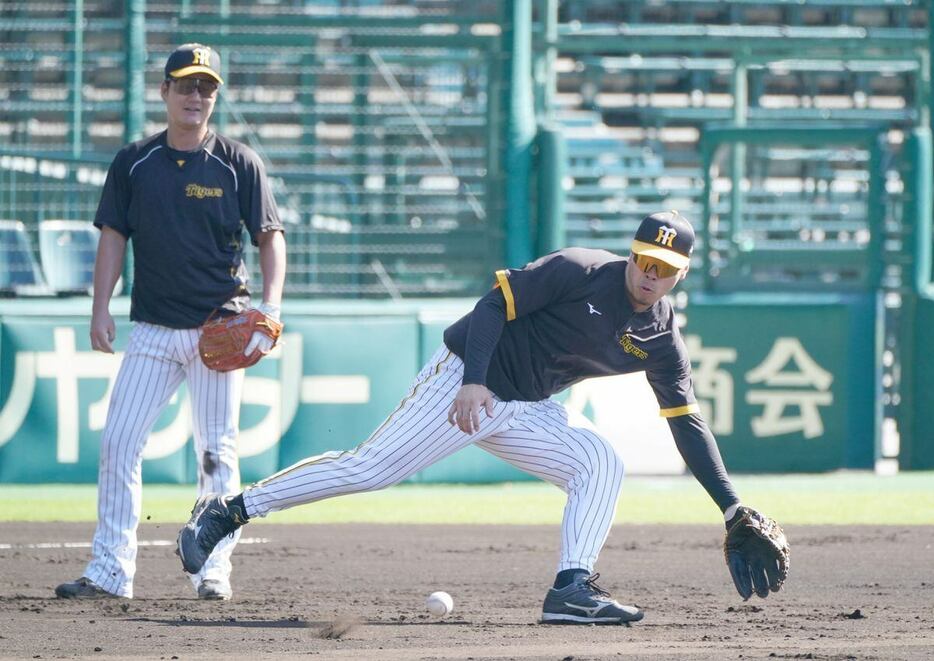 特守でノックを受ける佐藤輝。左は渡辺＝甲子園球場（撮影・榎本雅弘）