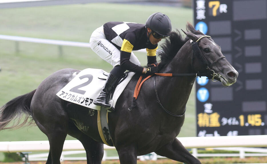 6月23日東京7Rの3歳上1勝クラスを勝ったアスクカムオンモア