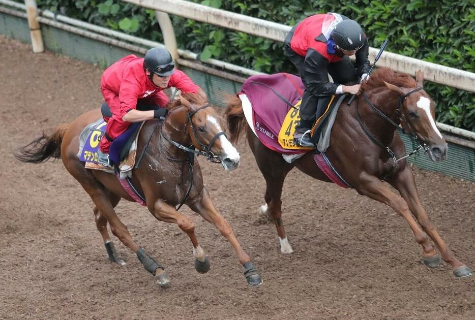 “幻の毎日王冠勝ち馬”マテンロウスカイ(左)に波乱演出の期待