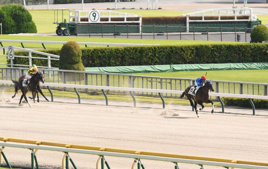 2着に8馬身差をつける圧勝劇を演じたベンヌ（右）＝14日、東京競馬場（撮影・奈良武）