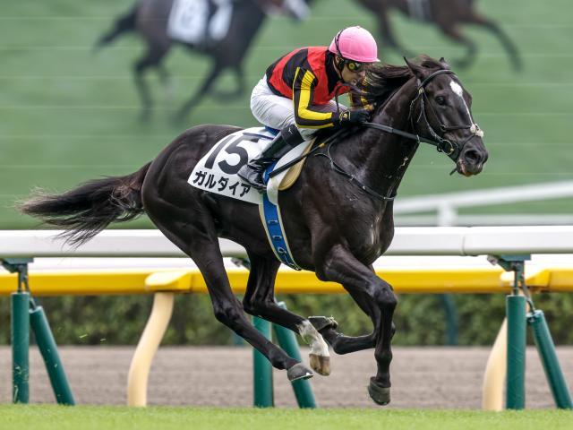 新馬戦を制したガルダイア(撮影：下野雄規)