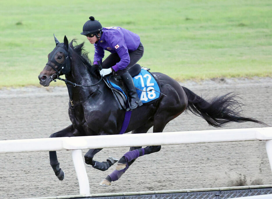 ＤＰコースをパワフルに駆け抜けたセレシオン（カメラ・豊田　秀一）