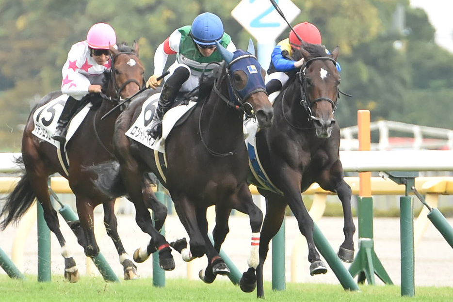 ３冠牝馬アパパネを母に持つアマキヒ（右）が初陣Ｖ