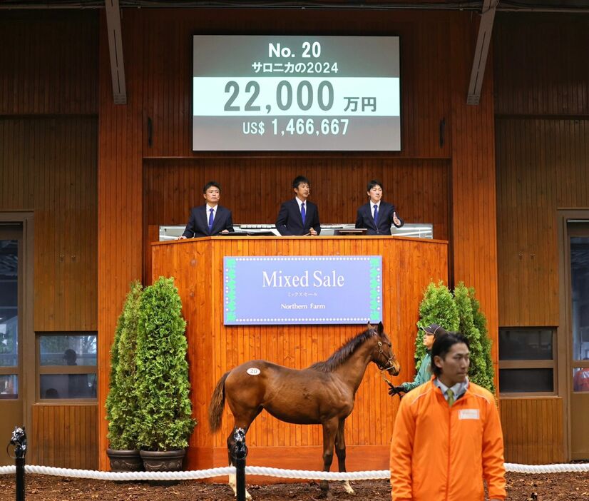 サロニカの2024 (C)Hiroki Homma