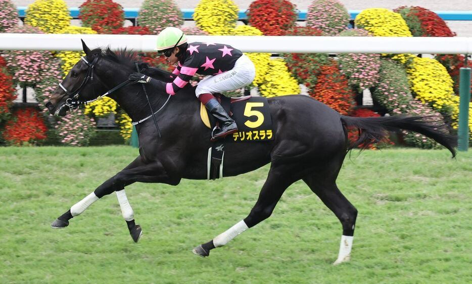 萩Sを逃げ切ったテリオスララ＝京都競馬場（撮影・安部光翁）