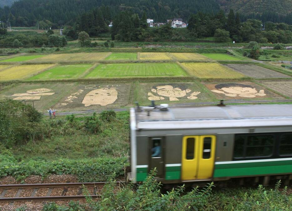 ものずき村の駐車場から眺められるもみ殻アート=魚沼市