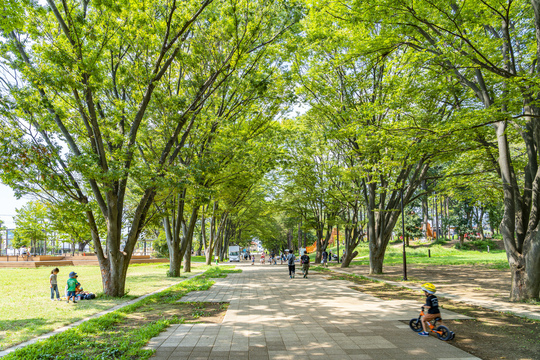 ［写真1］町田市の鶴間公園 出所：PIXTA