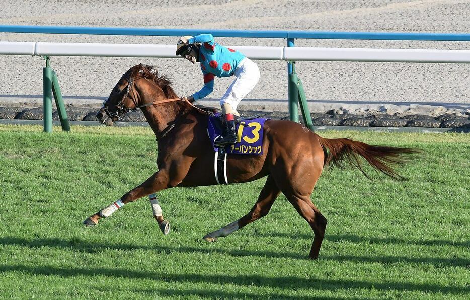 菊花賞を制したアーバンシックとクリストフ・ルメール騎手＝京都競馬場（撮影・林俊志）