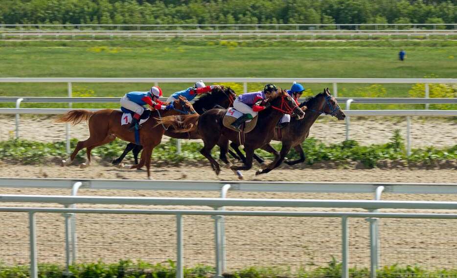 海外では競走馬に対する“暴力”で騎乗停止も…※画像はイメージ（写真／gettyimages）