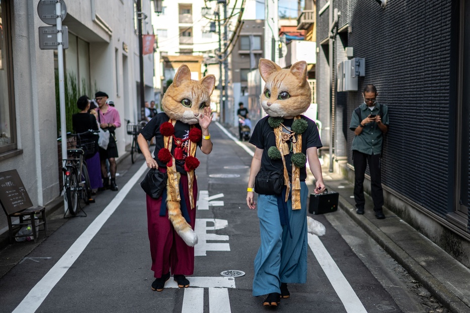 東京・新宿区神楽坂で「神楽坂化け猫フェスティバル」が開かれ、ネコのコスチューム姿で通りを歩く参加者（2024年10月13日撮影）。【翻訳編集】 AFPBB News