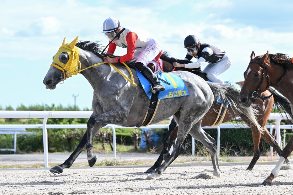 ヤングジョッキーズTR笠松第1戦・パッドゥラパンと田口貫太騎手 (C)NAR地方競馬全国協会