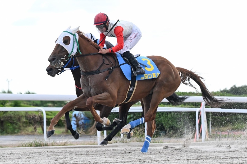 ヤングジョッキーズTR笠松第2戦・ゼンダンクラージュと田口貫太騎手 (C)NAR地方競馬全国協会