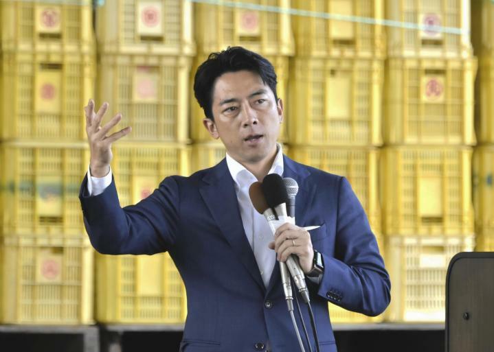 地域経済の強化などを訴える自民党の小泉進次郎氏＝12日午後、伊予市米湊