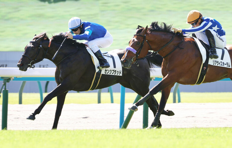 京都３Rでルメール騎手が騎乗のセンツブラッドが快勝（左、カメラ・高橋　由二）