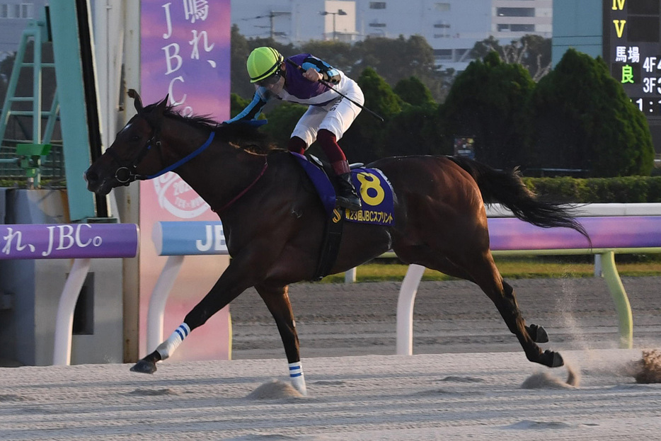 昨年の勝ち馬イグナイター