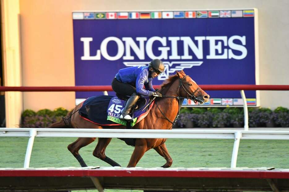 気分よく芝コースを駆け抜けたジオグリフ＝現地30日、米デルマー競馬場（撮影Katsumi.Saito）