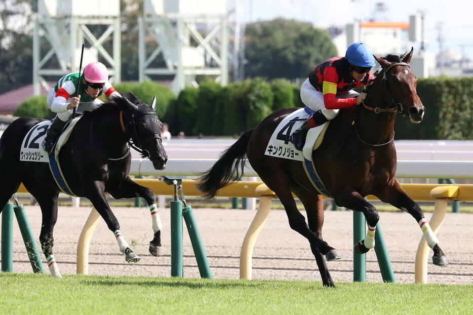 2歳新馬戦を制したキングノジョーとルメール騎手。左は2着のウィッシュツリー（撮影・丹羽敏通）