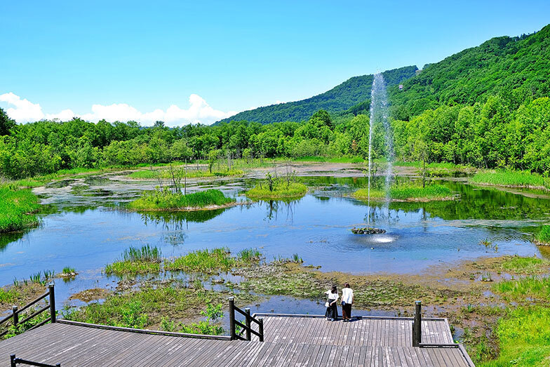 東川町の「七色の噴水」は、忠別湖の東側にあるフクロウ池に自噴する噴水。太陽が当たると虹が見られることがある（写真／PIXTA）