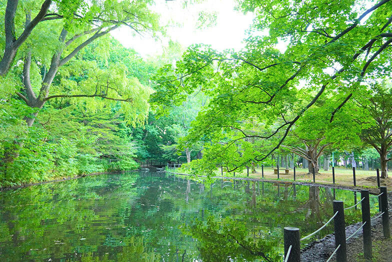 円山公園（写真／PIXTA）