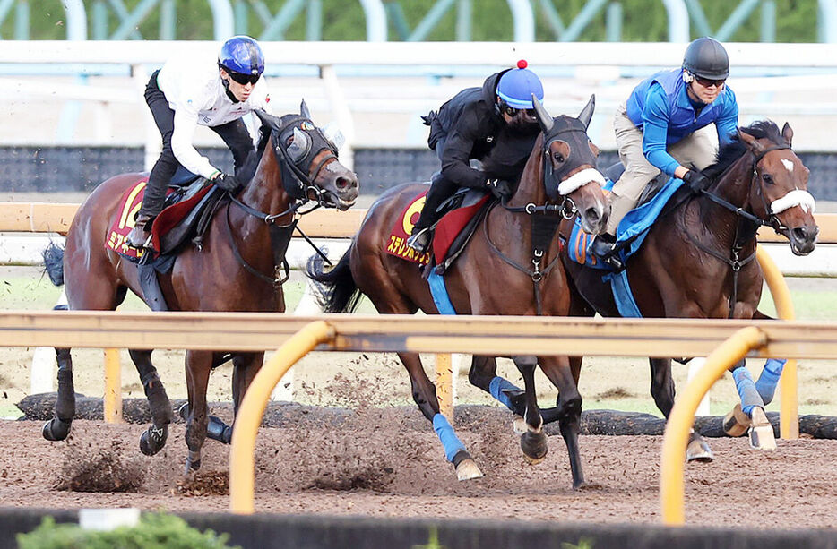 ３頭併せで追い切るステレンボッシュ（中央）