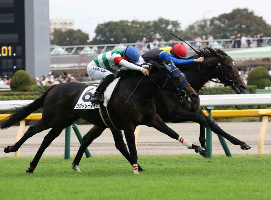 東京5R、ロジャリーマイン（手前）との競り合いを制して新馬戦に勝利したアマキヒとC・デムーロ騎手