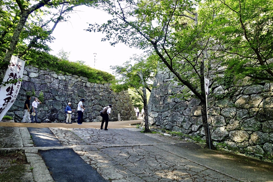 整備が進む松阪城の裏門（筆者撮影）