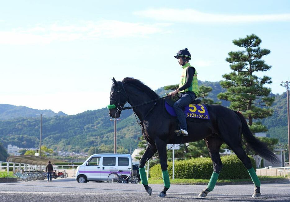 ジャスティンパレスは昨年と同様に宝塚記念以来の実戦＝栗東トレセン、撮影・岩川晋也