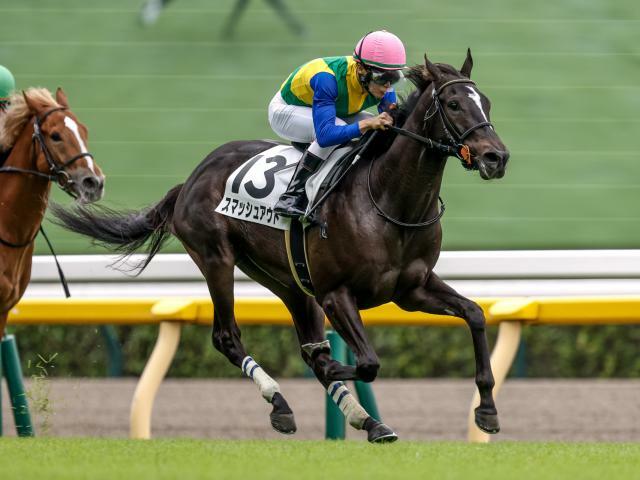 新馬戦を制したスマッシュアウト(撮影：下野雄規)