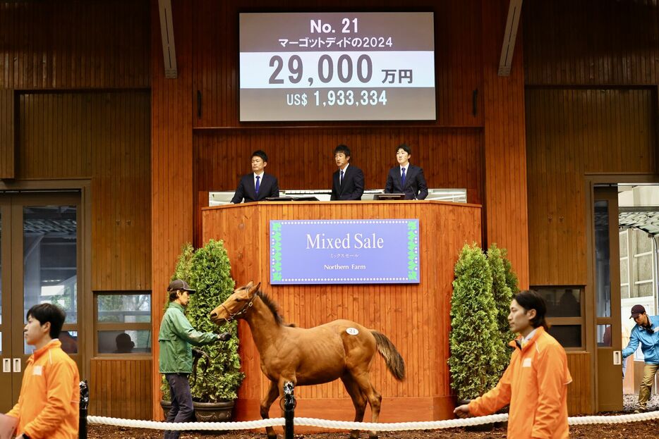 マーゴットディドの2024 (C)Hiroki Homma