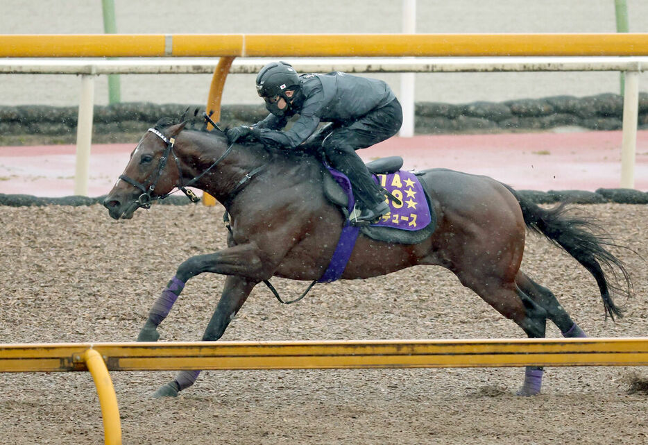 ＣＷコースで好時計を出したドウデュース（カメラ・岩田　大補）