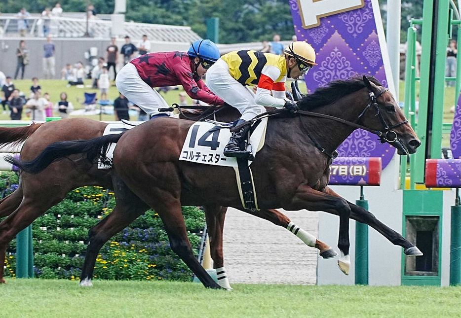 ＜東京6R新馬戦＞レースを制したコルチェスター（手前）（撮影・郡司　修）