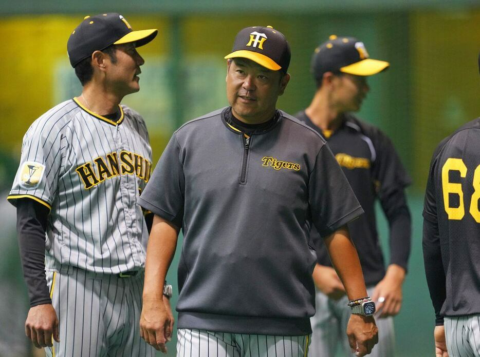 練習を見つめる阪神・野村克則コーチ＝生目の杜運動公園はんぴドーム（撮影・松永渉平)