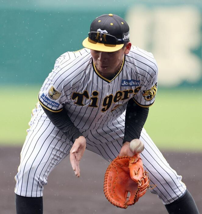 一塁の守備に入る阪神・井上広大＝甲子園球場（撮影・安部光翁）