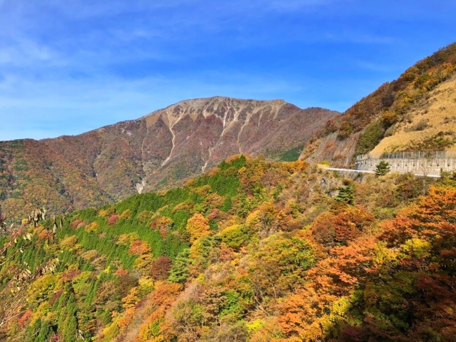 滋賀・伊吹山