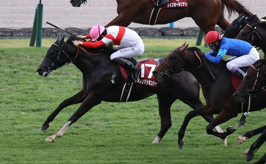 鮮やかに差し切りスワンSを制したダノンマッキンリー＝京都競馬場（撮影・安部光翁）