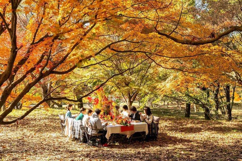 2023年のモニターツアーで実施した「紅葉の森」でのフラワーレストランの様子(画像はいずれも直方市観光物産振興協会提供)