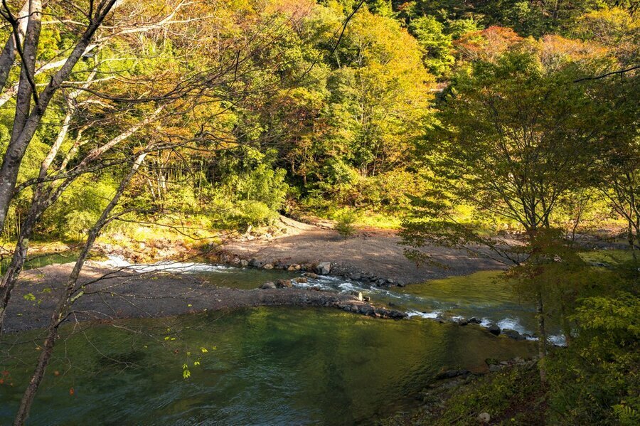 徐々に色づき出した渓。この先、紅葉狩りと釣りを同時に楽しめます