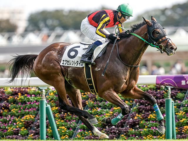 昨年の“平場の東京芝2500m”を制したエクセレントタイム(撮影：下野雄規)